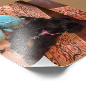 Papier photo professionnel Kodak (Satin) (Coin)