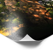 Papier photo professionnel Old Tree Kodak (Satin) (Coin)