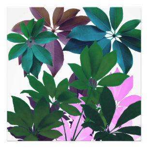 Papier photo professionnel Pink & Green Leaf