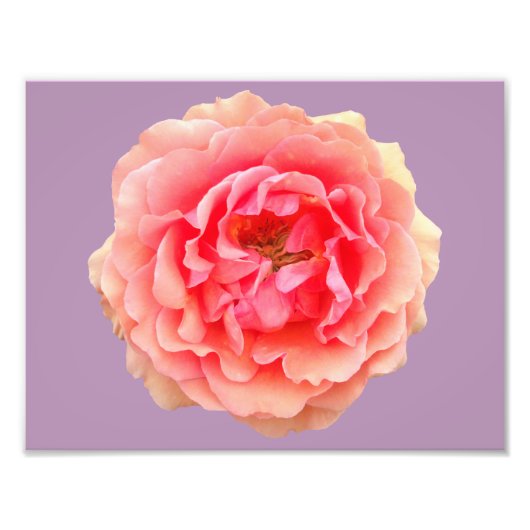 Papier photo professionnel Pinky Kodak (Satin) (Devant)