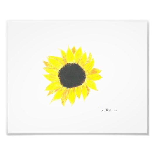 Papier photo Sunflower (Devant)