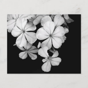 Papier Photographie de fleurs en noir et blanc