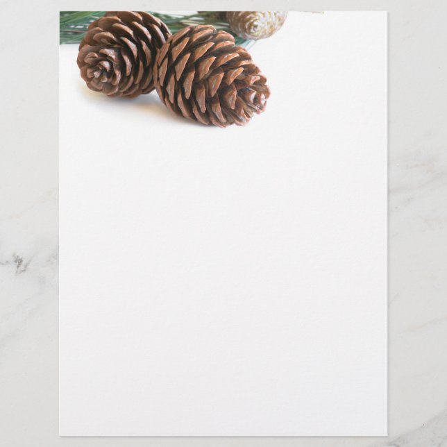 Papier Pine branch and cones (Devant)