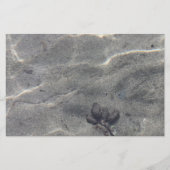 Papier Pinecones dans l'eau (Devant)