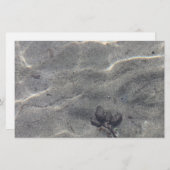 Papier Pinecones dans l'eau (Devant / Derrière)