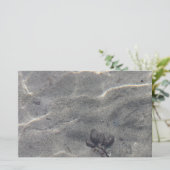 Papier Pinecones dans l'eau (Debout devant)