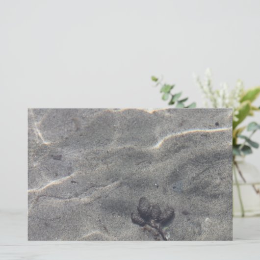 Papier Pinecones dans l'eau (Debout devant)