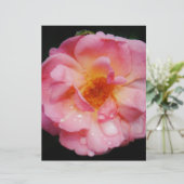 Papier Pink Rose w/ Dew Drops Black Background (Debout devant)