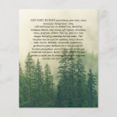 Papier Pins Budget Arbres Misty Forest Mariage vert (Dos)