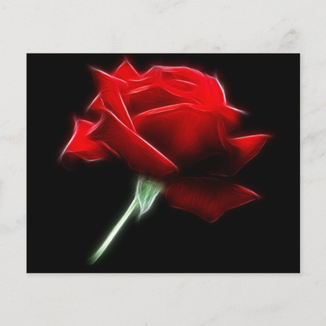 Papier Plante de fleurs de rose rouge (Devant)