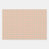 Papier plat à épluchure à rembobinage à rembobines (Devant)
