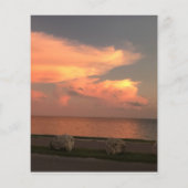 Papier plat de 4,5 po x 5,6 po (Dos)