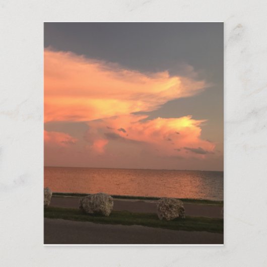 Papier plat de 4,5 po x 5,6 po (Devant)