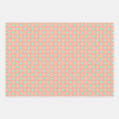 Papier plat Peachy Mint Magic Wrapper Set (Devant)