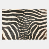 Papier plat poster de animal Zebra Wrapper Feuille (Devant)