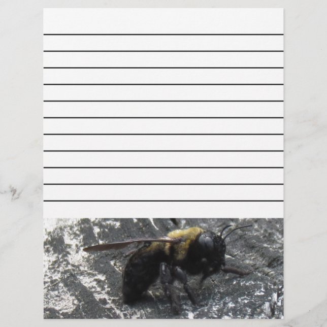 Papier Pludrops (Devant)