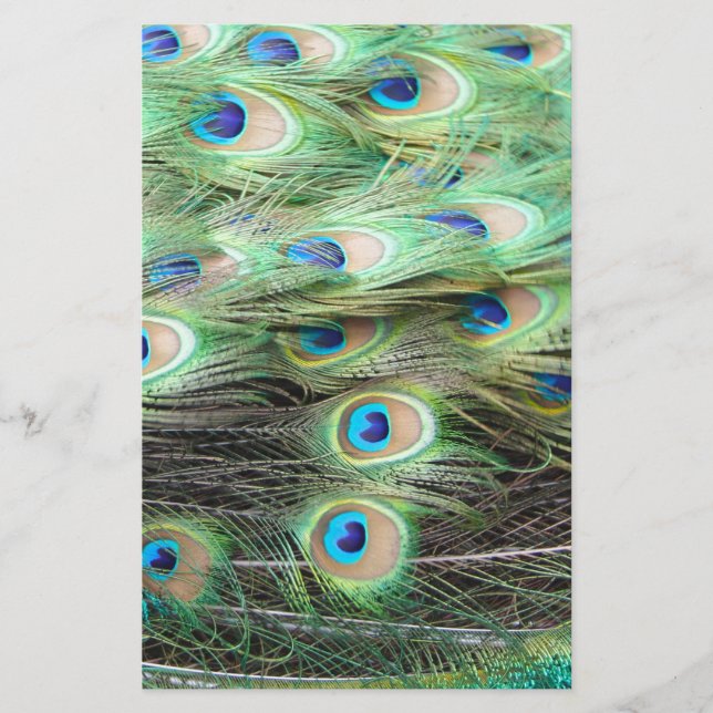 Papier Plumes de paon (Devant)