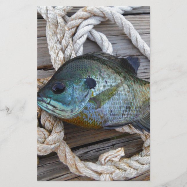 Papier Poisson rouge sur quai et corde (Devant)
