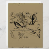 Papier Poissons Constellation Hevelius 1690 Décor (Devant / Derrière)