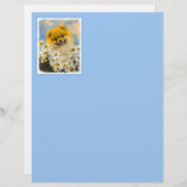 Papier Poméranien dans Daisies Peinture - Art Chien origi (Devant / Derrière)