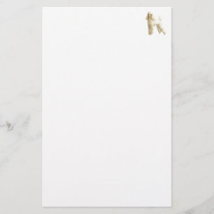 Papier Poodle — Clip de chiot