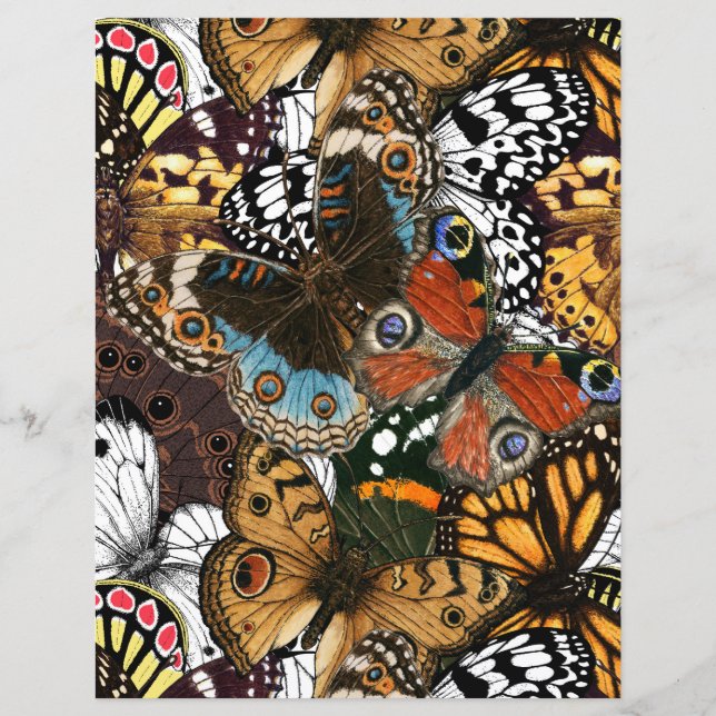 Papier Poster de animal. Ailes papillons. (Devant)