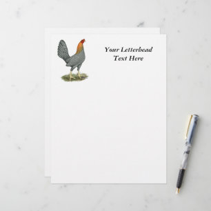 Papier Poule de Combat Bleu Rouge
