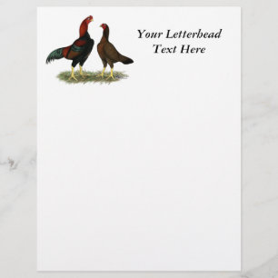 Papier Poules Aseel Black Red