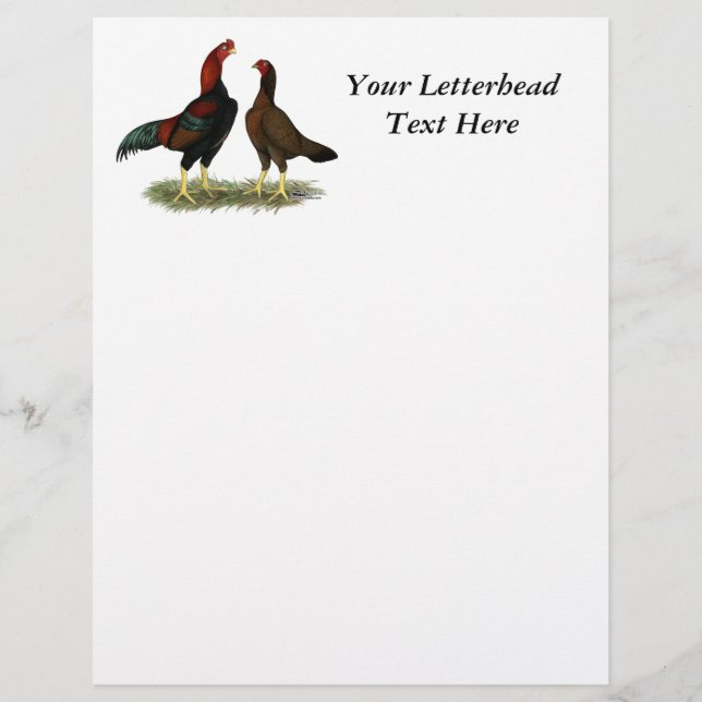 Papier Poules Aseel Black Red (Devant)