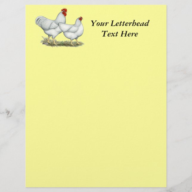 Papier Poulets blancs (Devant)