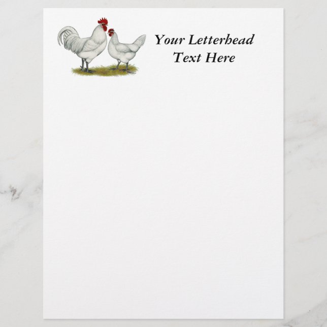 Papier Poulets de pieds bleus (Devant)