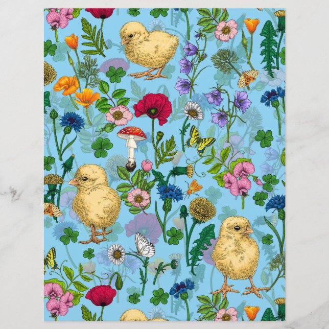Papier Poulets et fleurs sauvages sur le bleu bébé (Devant)