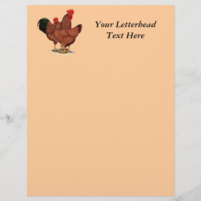 Papier Poulets rouges de production (Devant)