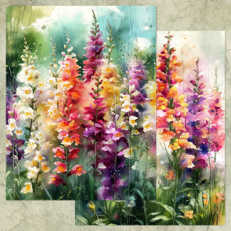 PAPIER POUR ALBUM DE COUPURES DE JARDIN AUX MUFLIE