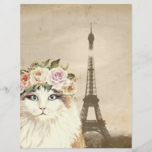Papier pour chat fantaisie et tour Eiffel