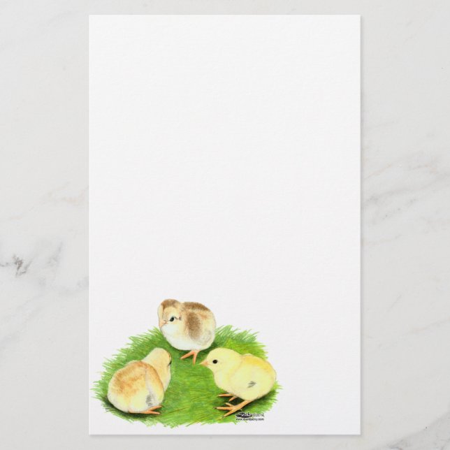 Papier Poussins Aseel Blé (Devant)