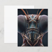 Papier Prier Mantis Fermer Macro (Devant / Derrière)