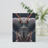 Papier Prier Mantis Fermer Macro (Debout devant)