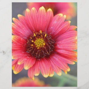Papier Printemps en fleurs