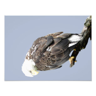 papier professionnel de photo de 16x12 Kodak