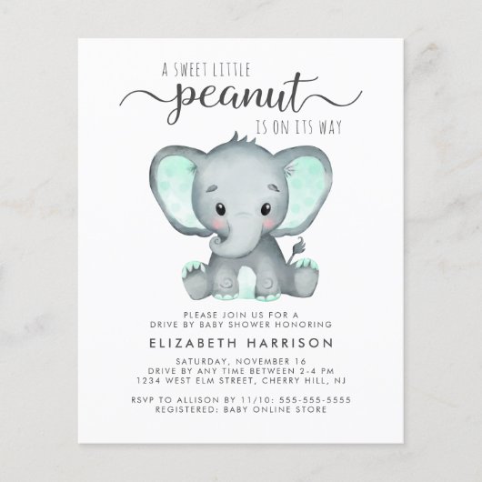 Papier Promenade Budget Elephant Mint Par Invitation Baby (Devant)