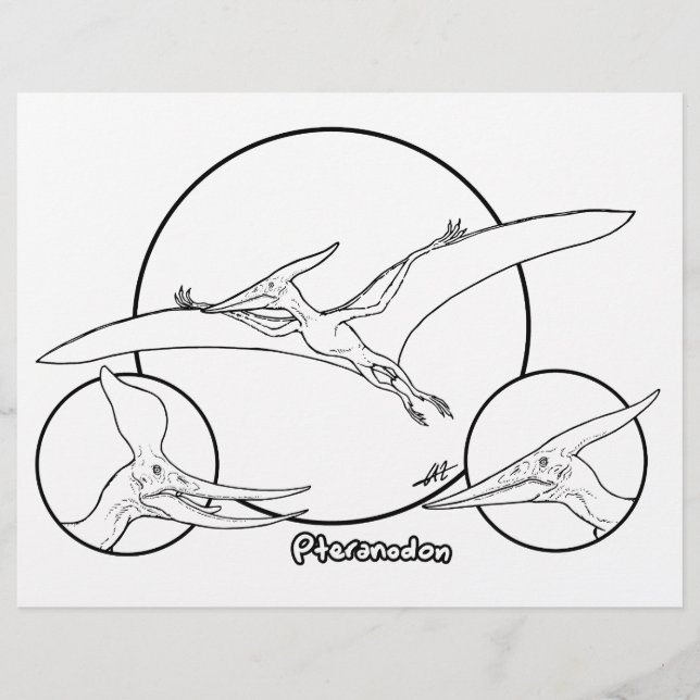 Papier Pteranodon - Coloriage Page. (Devant)