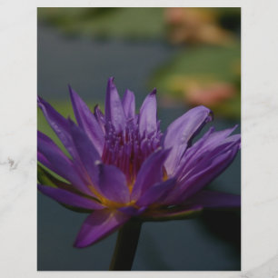 Papier Purple Waterlily