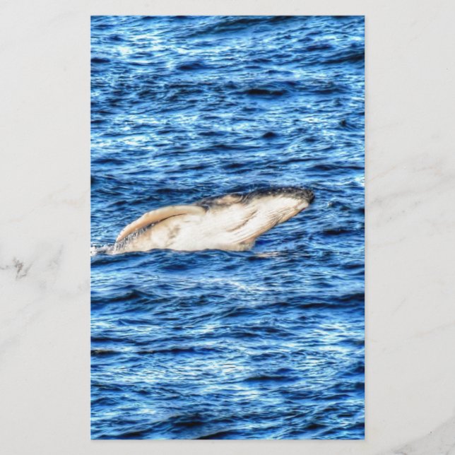 PAPIER QUEENSLAND DE BALEINE HUMBACK AUSTRALIE (Devant)
