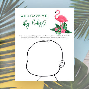 Papier Qui m'a donné mon apparence ? - Flamant Rose