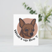 Papier Quoi de neuf Bro Chihuahua, Drôle Citation Chien (Debout devant)