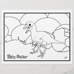 Papier Raptor Bébé - Coloriage Page.
