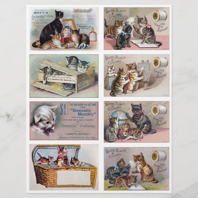 Papier Real (not AI) Helena Maguire Inspired Trade Cards (Devant)