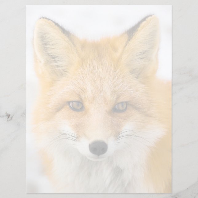 Papier Red Fox Portrait (Devant)