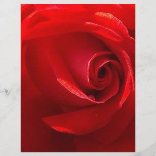 Papier Red-Rose-3.jpg